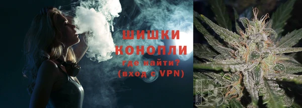ПСИЛОЦИБИНОВЫЕ ГРИБЫ Верхний Тагил