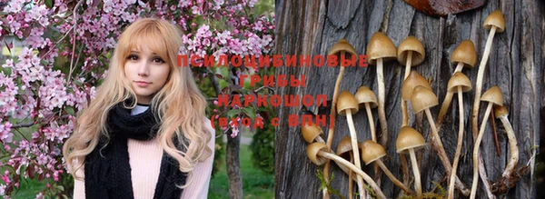 спайс Верея