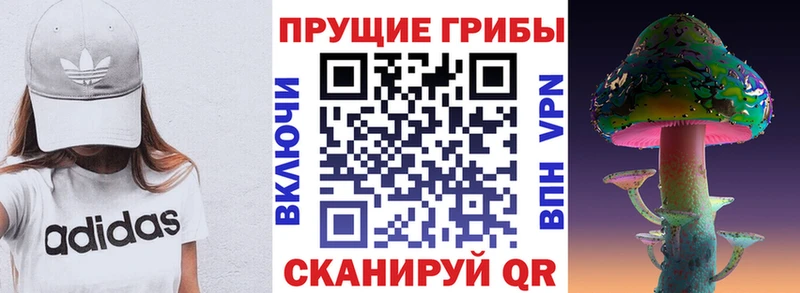 купить Чехов Галлюциногенные грибы мицелий
